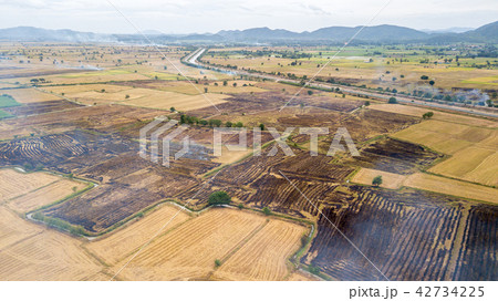 Burning rice stubble and smoke on top view Burning rice stubble and smoke on top view 42734225