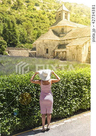 woman in a hat looks at the lavender fields 42734381