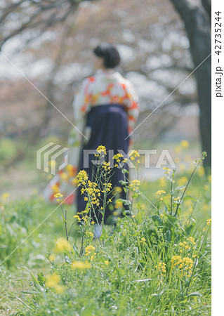 Sakura 42735244