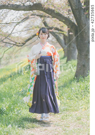 Sakura 42735665