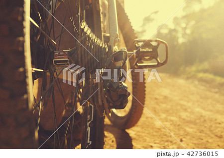 Rear wheel cassette and chain in a mountain bike 42736015