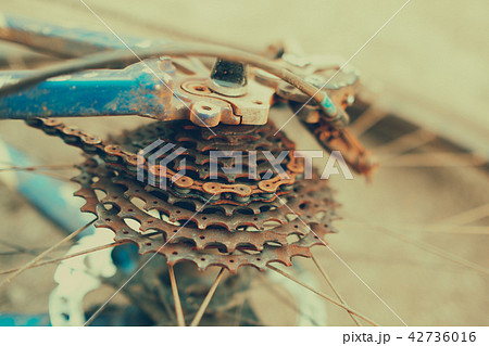 Rear wheel cassette and chain in a mountain bike 42736016