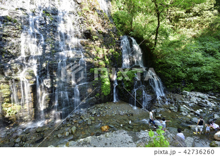 龍双ヶ滝（福井県今立郡池田町） 42736260