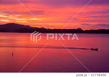 朝焼けの浜名湖 朝焼けの浜名湖 42736400