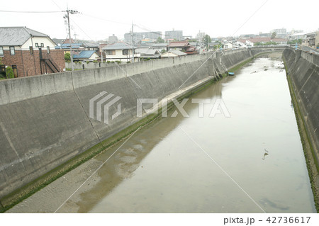 あかねがわ 42736617