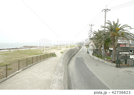 江井ケ島海岸 42736623