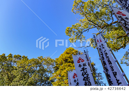 千代保稲荷 のぼり旗 千代保稲荷 のぼり旗 42736642