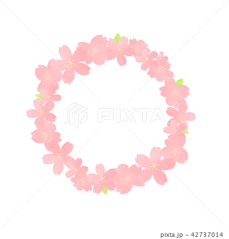 桜 花 ピンク 42737014