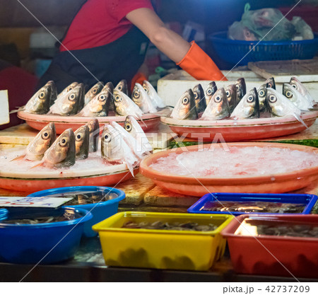 seafood in fish market 42737209