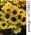 ひまわり 42738621