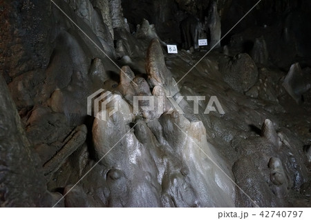 日本一長い鍾乳洞安家洞 日本一長い鍾乳洞安家洞 42740797