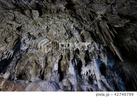 日本一長い鍾乳洞安家洞 日本一長い鍾乳洞安家洞 42740799
