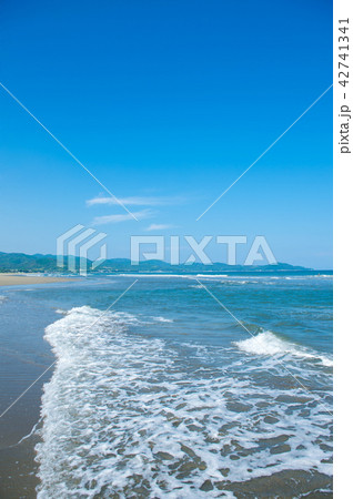 入野海岸 入野海岸 42741341