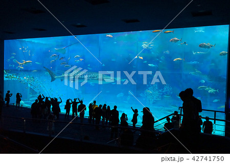沖縄美ら海水族館 42741750
