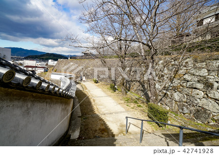 臼杵公園 臼杵城跡 臼杵公園 臼杵城跡 42741928