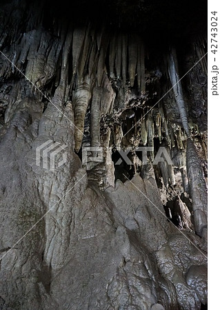 日本一長い鍾乳洞安家洞 42743024