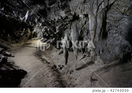 日本一長い鍾乳洞安家洞 日本一長い鍾乳洞安家洞 42743030