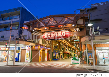 名古屋市中区 大須商店街 東仁王門通り シンボルアーチ 夜景 名古屋市中区 大須商店街 東仁王門通り シンボルアーチ 夜景 42743180