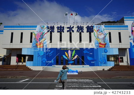 青森の旅浅虫水族館 青森の旅浅虫水族館 42743233