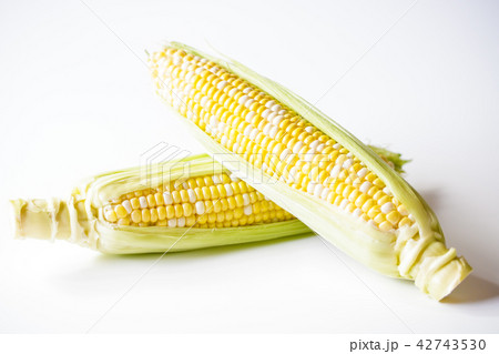 とうもろこし 42743530