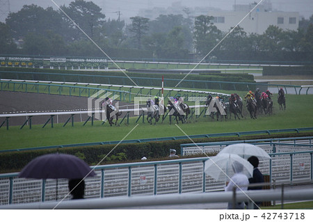 雨の阪神競馬場 42743718