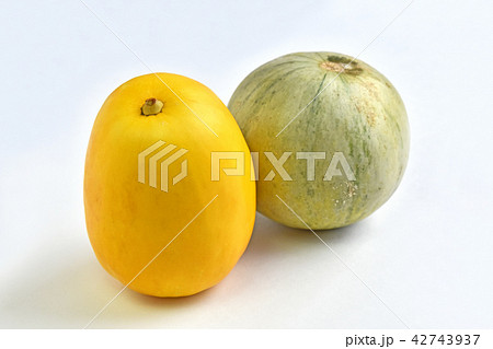マクワウリとプリンスメロン マクワウリとプリンスメロン 42743937