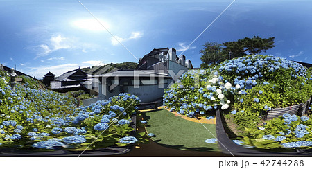 小樽貴賓館 あじさい園(360°VR素材) 小樽貴賓館 あじさい園(360°VR素材) 42744288