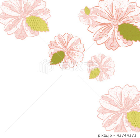 Cherry blossom template vector. Pink flower Cherry blossom template vector. Pink flower 42744373