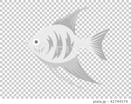 熱帯魚 42744574