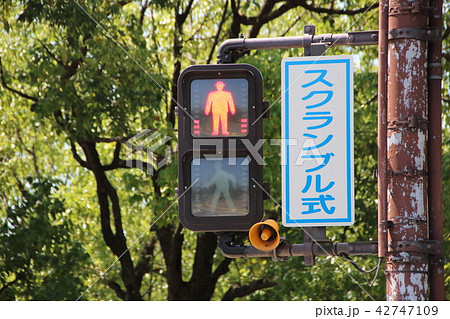 スクランブル交差点の歩行者用信号機 スクランブル交差点の歩行者用信号機 42747109