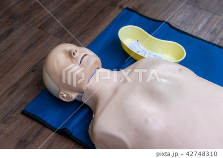 adult manikin CPR training in hospital adult manikin CPR training in hospital 42748310