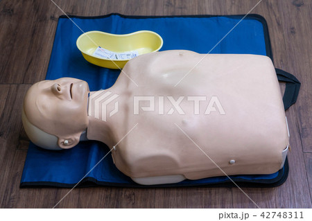 adult manikin CPR training in hospital adult manikin CPR training in hospital 42748311