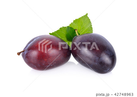 whole fresh prunes with leaf on white background 42748963