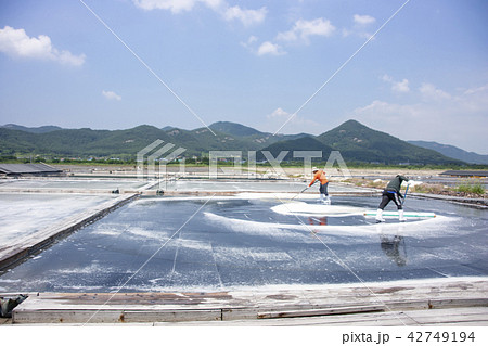 コムソ塩田 扶安郡 全北 42749194