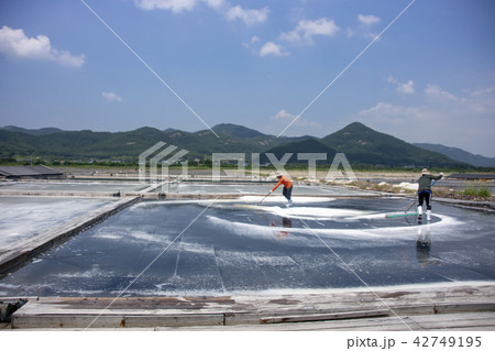 コムソ塩田 扶安郡 全北 42749195