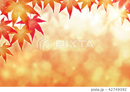 紅葉 紅葉 42749392