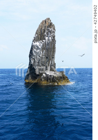 帆立岩 帆立岩 42749402
