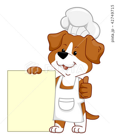 dog chef hat