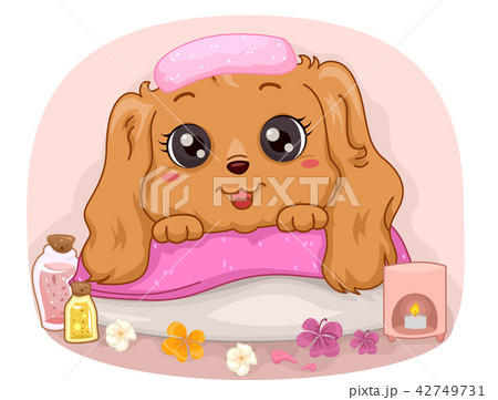 Dog Spa Flowers Illustration 42749731