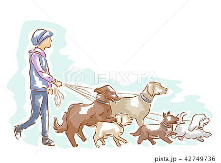 Dog Walker Man Illustration Dog Walker Man Illustration 42749736