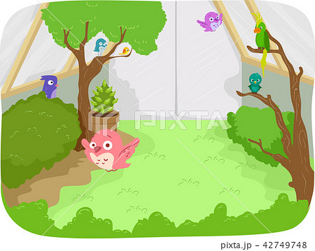 Birds Aviary Illustration 42749748