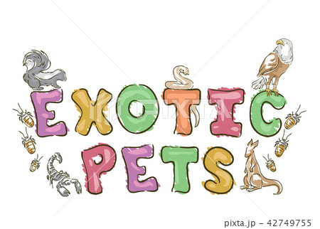 Exotic Pets Lettering Illustration Exotic Pets Lettering Illustration 42749755