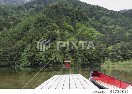 上高地 明神池/長野県松本市 上高地 明神池/長野県松本市 42750315