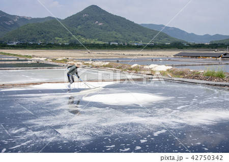 コムソ塩田 扶安郡 全北 42750342