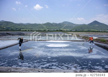 扶安郡 全北 韓国 42750343