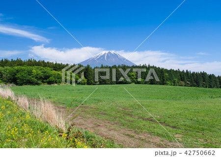 道の駅 朝霧高原からの富士山 42750662