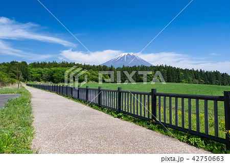 道の駅 朝霧高原からの富士山 道の駅 朝霧高原からの富士山 42750663