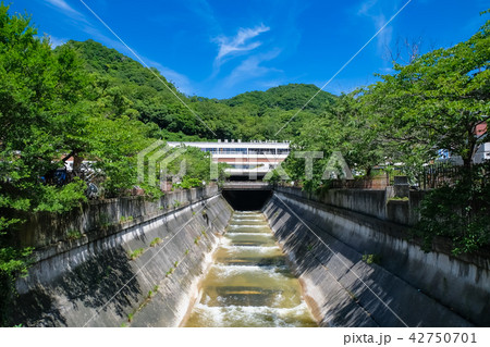 新神戸駅と生田川 42750701