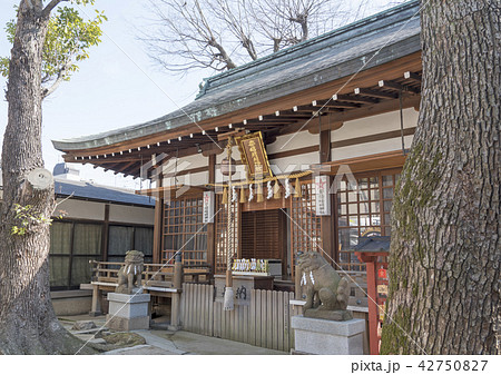 安倍晴明神社の本殿（大阪市阿倍野区） 42750827