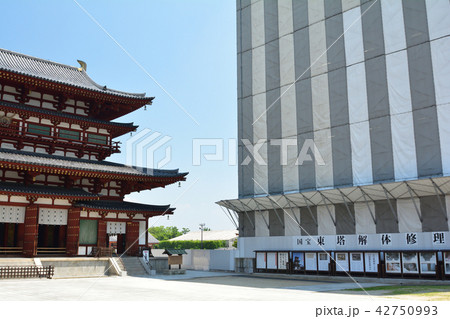奈良・薬師寺 奈良・薬師寺 42750993